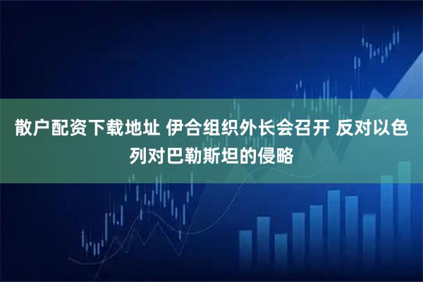 散户配资下载地址 伊合组织外长会召开 反对以色列对巴勒斯坦的侵略