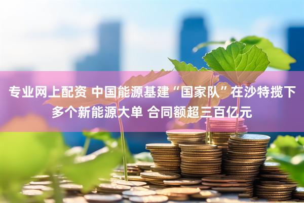 专业网上配资 中国能源基建“国家队”在沙特揽下多个新能源大单 合同额超三百亿元