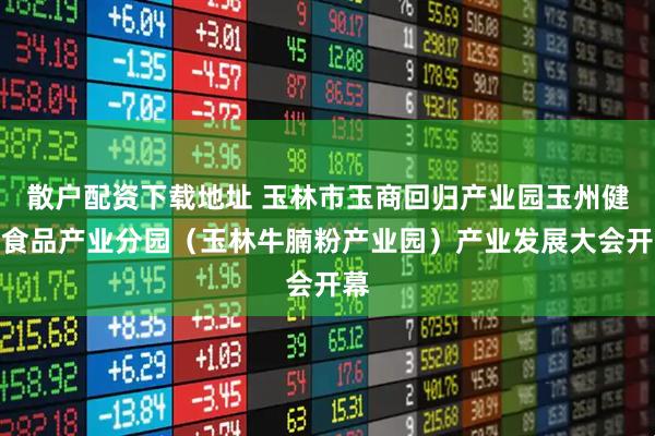 散户配资下载地址 玉林市玉商回归产业园玉州健康食品产业分园（玉林牛腩粉产业园）产业发展大会开幕