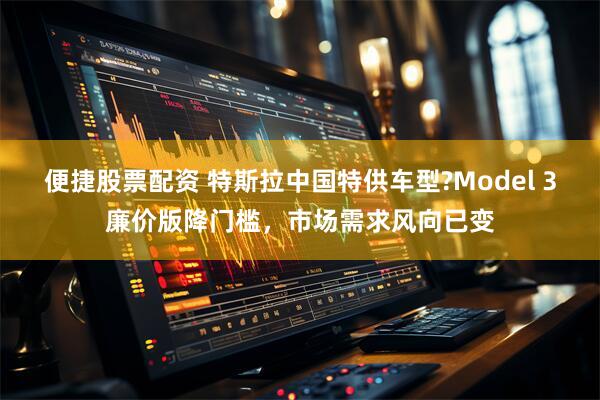 便捷股票配资 特斯拉中国特供车型?Model 3廉价版降门槛,市场需求风向已变