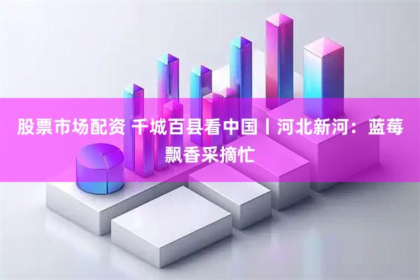 股票市场配资 千城百县看中国丨河北新河：蓝莓飘香采摘忙