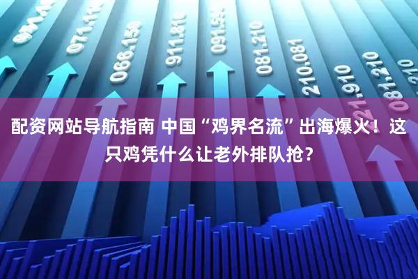 配资网站导航指南 中国“鸡界名流”出海爆火！这只鸡凭什么让老外排队抢？